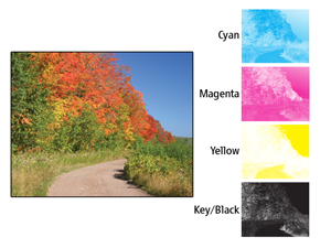 photo divided into CMYK channels