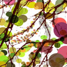 October Leaves
